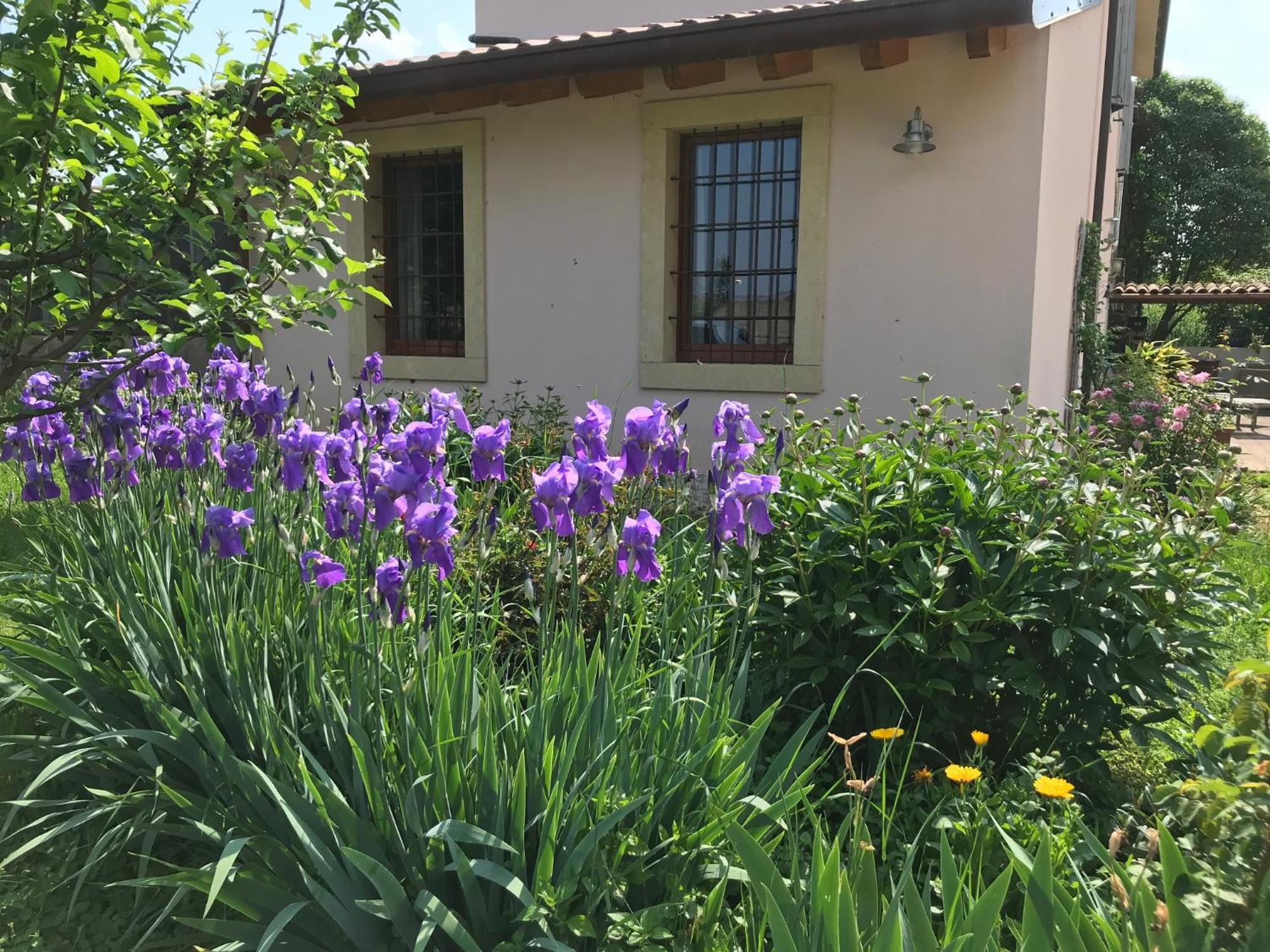 Una Casa Di Campagna ดอสโซบัวโน ภายนอก รูปภาพ